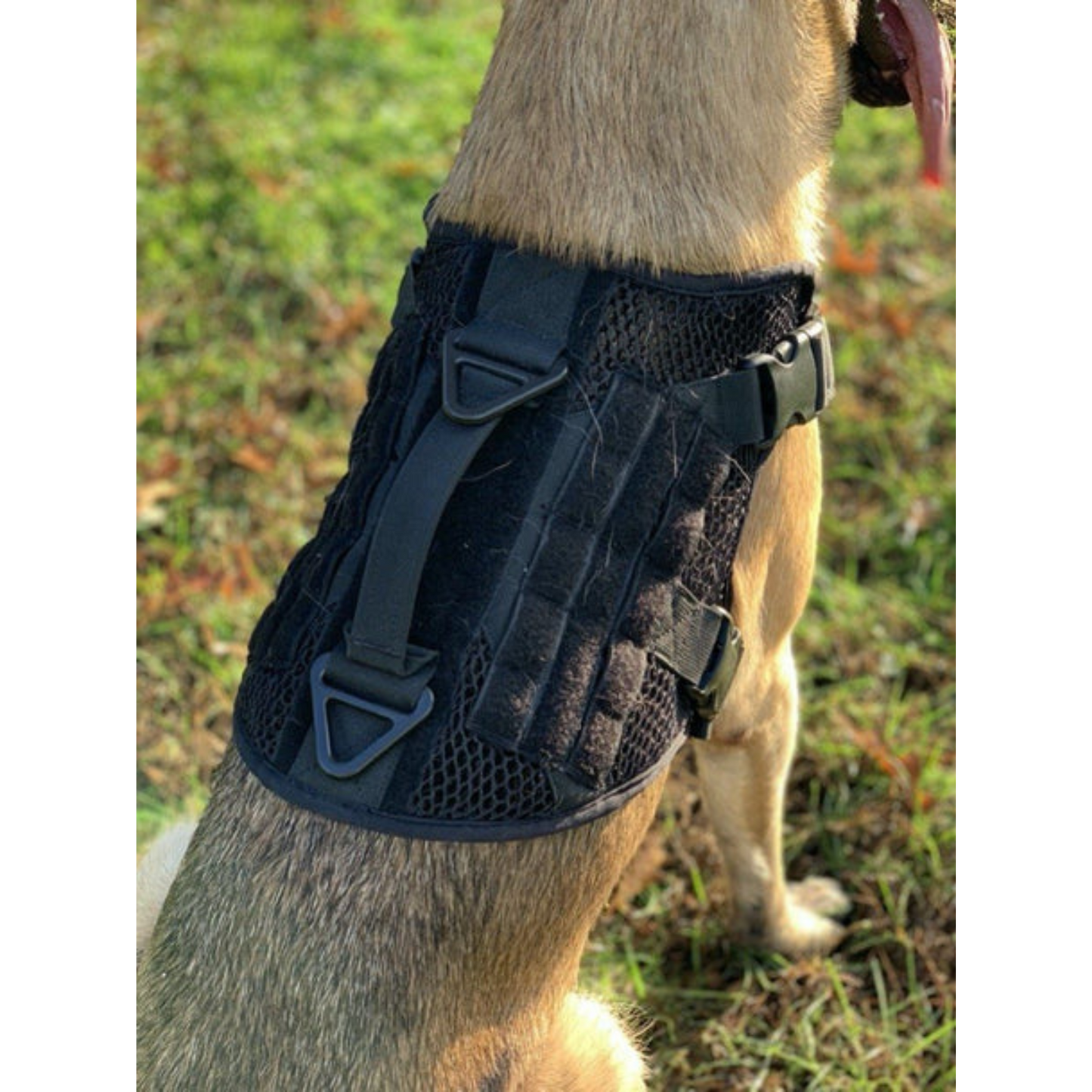 221B Tactical - Artemis Dog Harness - No Pull/No Choke - Adjustable