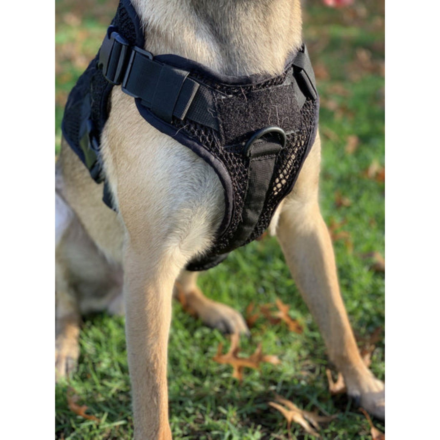 221B Tactical - Artemis Dog Harness - No Pull/No Choke - Adjustable