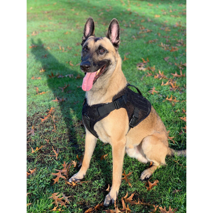 221B Tactical - Artemis Dog Harness - No Pull/No Choke - Adjustable