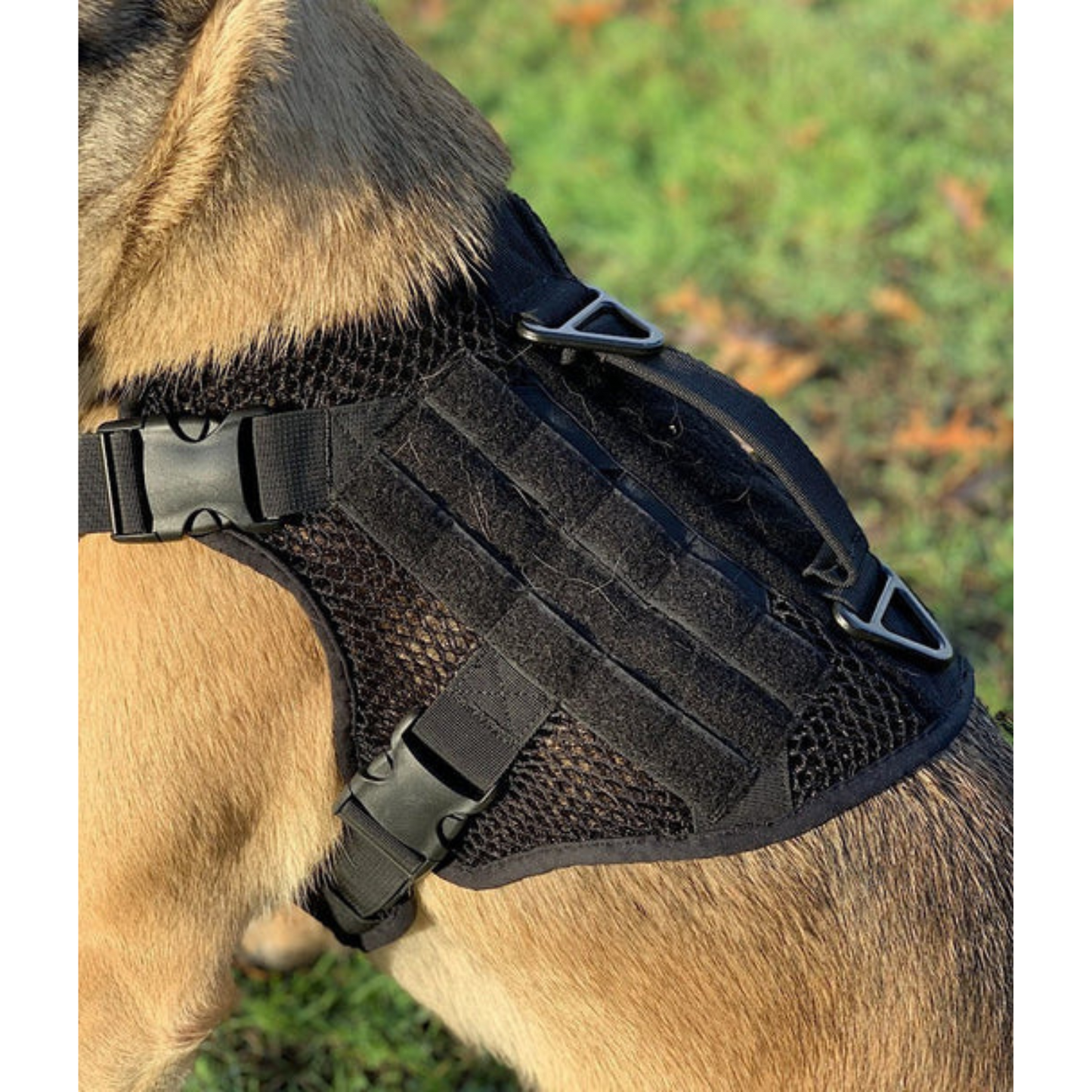 221B Tactical - Artemis Dog Harness - No Pull/No Choke - Adjustable