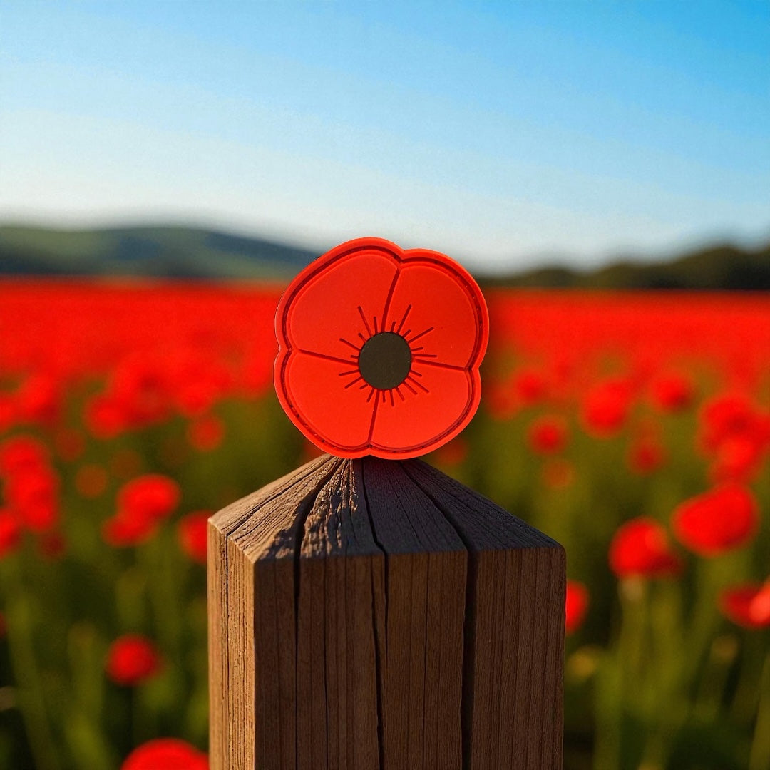 Remembrance Day Poppy
