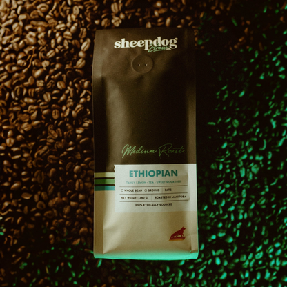 Sheepdog Brew Co. - Ethiopian Roast